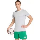 Adidas Spilletrøje Entrada 26 - Grå/Hvid, størrelse Small