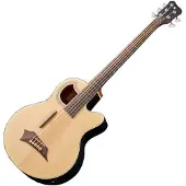 Warwick RockBass Alien Standard 5 String Fretless Acoustic Bass Natural