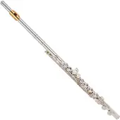 Yamaha YFL312 Student Model Flute Gold Lip Plate