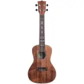 Kala KA-SA-C Solid Acacia Concert Ukulele Satin
