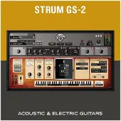Aas Strum GS-2