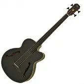 Aria FEB-F2M/FL Medium Scale Fretless Bass Stained Black