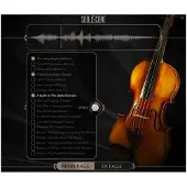 Sonuscore Lyrical Violin Phrases