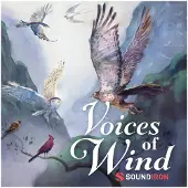 Soundiron Voices Of Wind Collection
