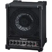 Roland CM-30 30W personlig monitor