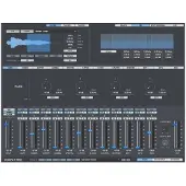 Digital Brain Instruments Digital Brain Voxpat Pro