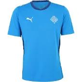 Puma Fodboldtrøje 'Island 2026' navy / royalblå / hvid