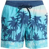 Quiksilver Everyday Printed Volley 15´´ Badeshorts