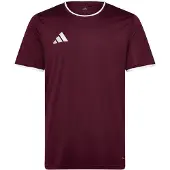 Adidas Entrada26 trøje, størrelse X-Small