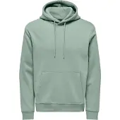 Only & Sons Sweatshirt 'ONSCONNOR' mint