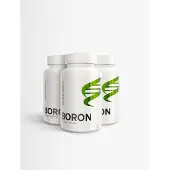 Body Science 3 x Boron - 120 kapsler