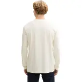 Tom Tailor DENIM Bluser & t-shirts antracit / mint / naturhvid
