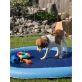 Dogman Udendørs Splash Fontæne Måtte 150cm
