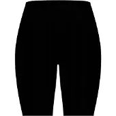 Icebreaker Merino Blend 260 Seamless Rib 8´´ High Rise Shorts