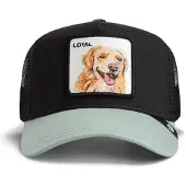 GOORIN BROS. Hætte 'Gorra goorin negra perro labrador loyal dog trucker cap' sort