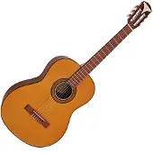 Epiphone Pro-1 Classical Guitar