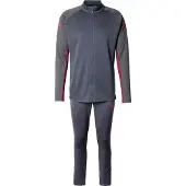Puma Sportsdragt 'IndividualLIGA' marin / grafit / blodrød