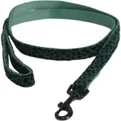 Kentucky Leopard Hundesnor