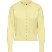 ONLY Cardigan 'ONLMio' lysegul