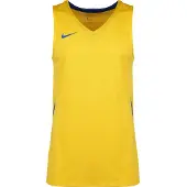 Nike Funktionsskjorte 'Team Stock 20' royalblå / gul