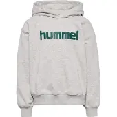 Hummel Sweatshirt grå-meleret / grøn