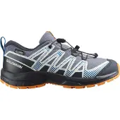 Salomon Xa Pro V8 Wp Vandresko