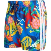 Adidas Boardshorts 'Mexicana Florals' blå / gul / rød / hvid