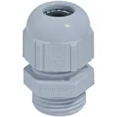 Lapp Forskruning SKINTOP ST M50 LYSEGRŠ- (5 stk.)