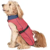 Dog Gone Smart Acacia Hunde Regntøj