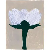 Fine Little Day Slåtterblomma plakat 40x50 cm