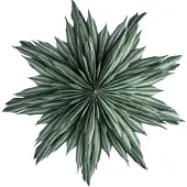 Watt & Veke Helena adventsstjerne Ø44 cm Green
