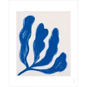 Fine Little Day Bloom 1 plakat 40x50 cm