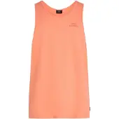 O'Neill Bluser & t-shirts 'Slub' lyseorange