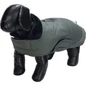 Designed By Lotte Hundejakke Zhanti - Grøn - 52 cm