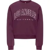 ONLY GIRLS Sweatshirt bær / hvid