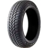 Maxxis WP-05 Arctictrekker