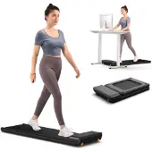 King Smith KingSmith Fitness Walkingpad A1 pro