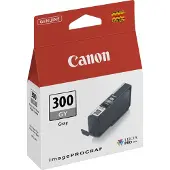 Canon PFI-300 / 4200C001 Grey