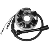 Sgr 6 Poles Piaggio Apebase Stator