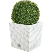 Wellhome Prosperplast Rato 32l S Set Blomsterpotte 2 Enheder