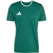 Adidas Funktionsskjorte 'ENT26' grøn / hvid