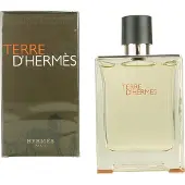Hermès Paris Terre D'Eau de toilette 100 ml