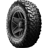 Cooper Evolution MTT owl