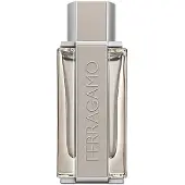 Salvatore Ferragamo Ferragamo Bright Leather Men Eau de Toilette Spray 100ml