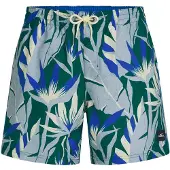 O'Neill Boardshorts chamois / royalblå / dueblå / grøn