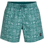 O'Neill Print 16´´ Badeshorts