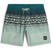 O'Neill Badeshorts mint / mørkegrøn / sort