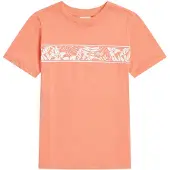 O'Neill Bluser & t-shirts abrikos / hvid