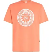 O'Neill Musthave Graphic T-shirt Med Korte ærmer