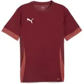 Puma Trænings T-Shirt teamGOAL - Bordeaux/Hvid Børn, størrelse 152 cm